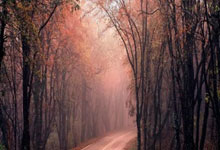 tk体育:铃木彩艳谈对阵巴林:尽可能零封对手取胜,锁定晋级世界杯资格.