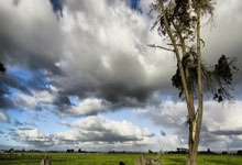 tk体育：詹姆斯无私让队友投篮！自己靠防守和球商帮助湖人赢火箭！.